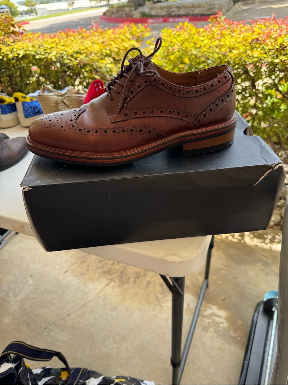 Aldo Men's Brown Brogue Wingtip Derby Oxfords